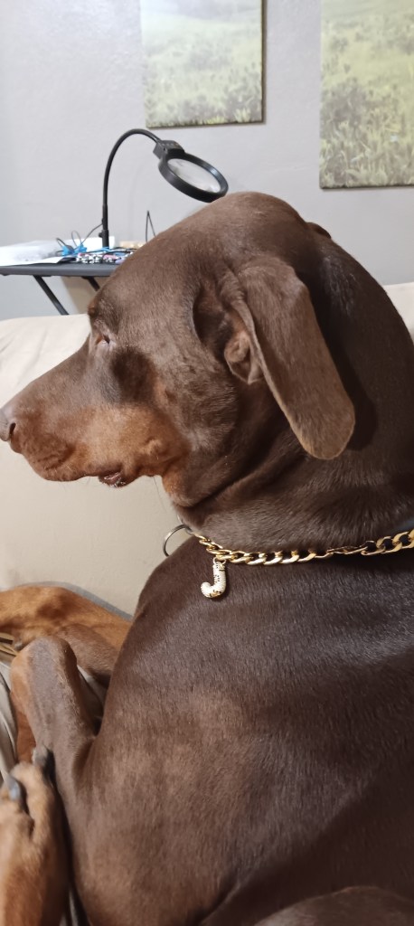 Jango with his necklace